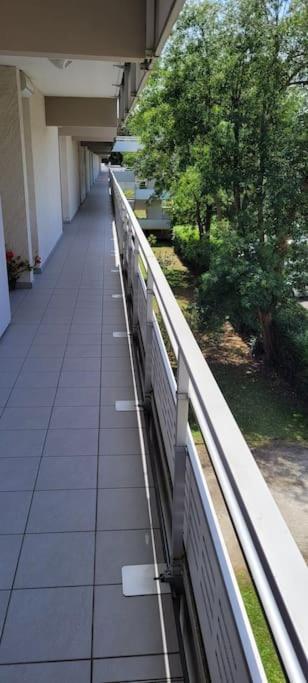 Superbe Appartement Arcachon La Teste-de-Buch Eksteriør billede