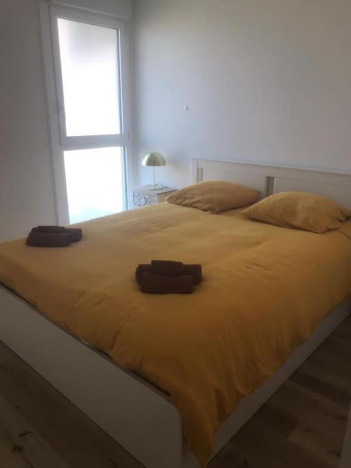 Superbe Appartement Arcachon La Teste-de-Buch Eksteriør billede