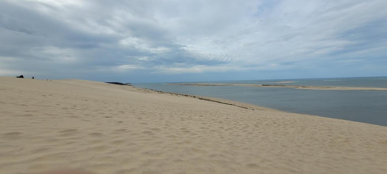 Superbe Appartement Arcachon La Teste-de-Buch Eksteriør billede